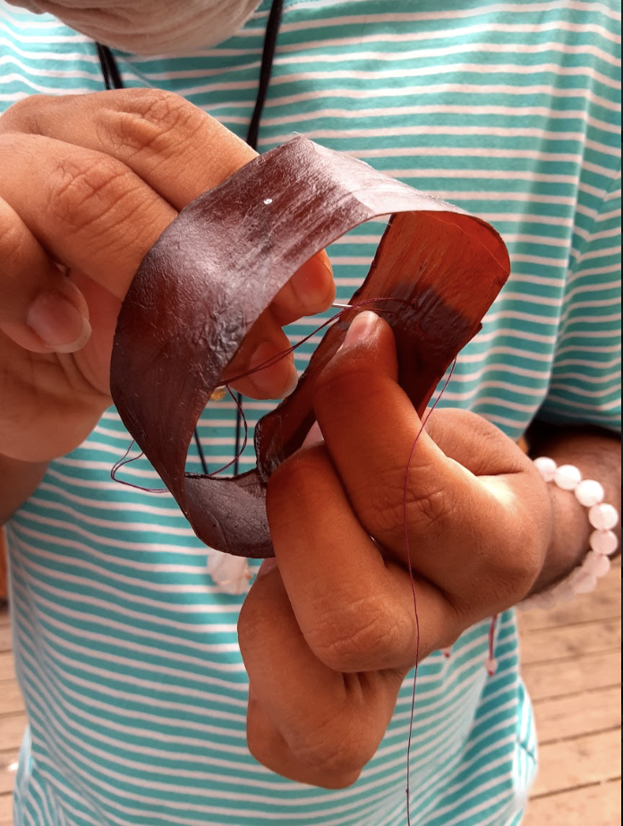 Close up of hands sewing SCOBY bioplastic into a ring form